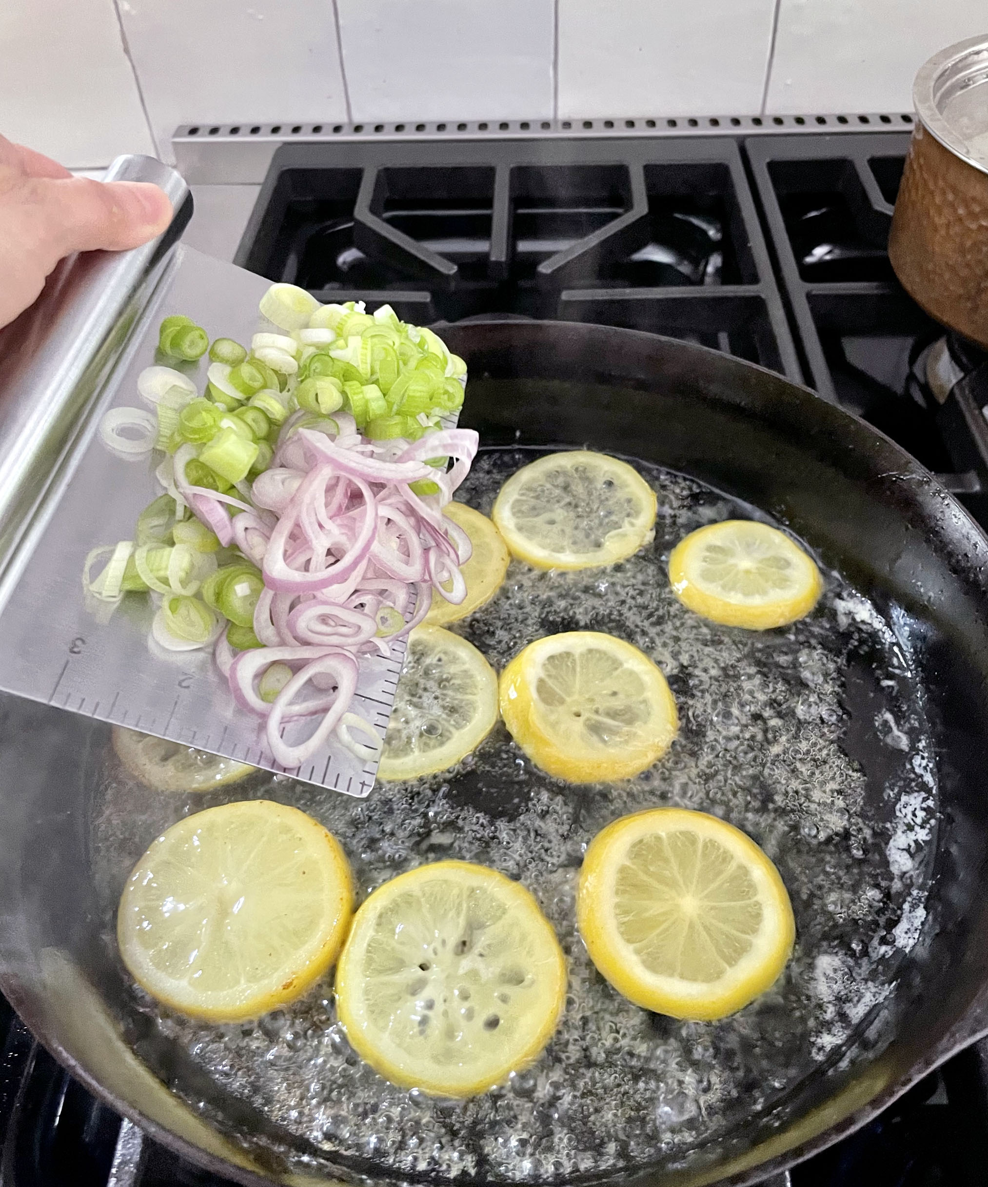 White Wine Poached Salmon » Djalali Cooks An Easy Poached Fish